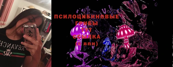 PSILOCYBIN Богданович